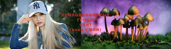 стафф Козловка