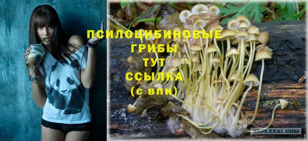 спайс Козельск