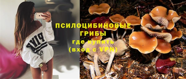 кристаллы Кодинск
