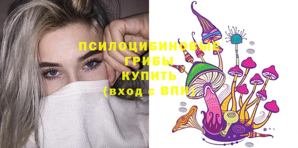 стафф Козловка