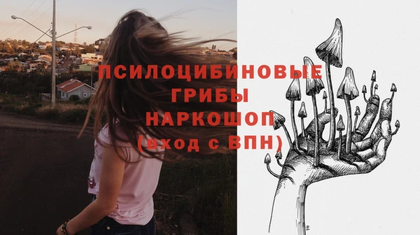 кристаллы Кодинск