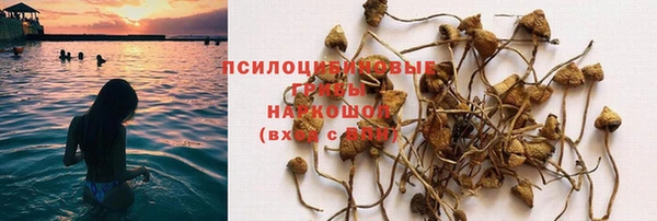 кристаллы Кодинск