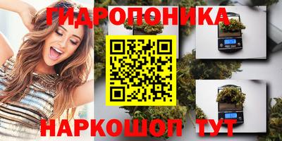 прущие грибы Волжский
