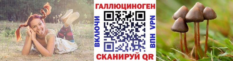 Псилоцибиновые грибы GOLDEN TEACHER Каменск-Уральский