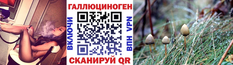 кракен как войти  Каменск-Уральский  Псилоцибиновые грибы Magic Shrooms 