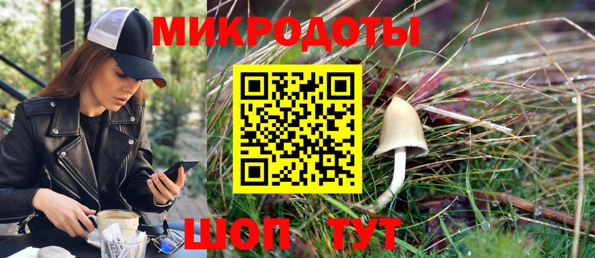 Псилоцибиновые грибы Cubensis  Вход с VPN  Каменск-Уральский  купить закладку  Псилоцибиновые грибы MAGIC MUSHROOMS 