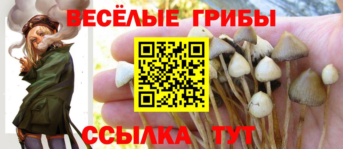 Псилоцибиновые грибы MAGIC MUSHROOMS Каменск-Уральский