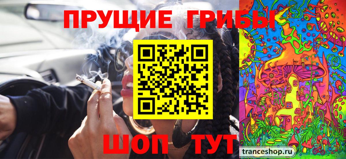 Галлюциногенные грибы Psilocybine cubensis Каменск-Уральский